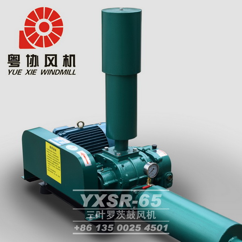 順德羅茨風(fēng)機