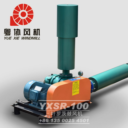工業(yè)羅茨鼓風機