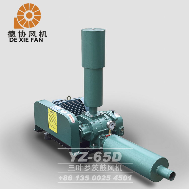 水產(chǎn)養(yǎng)殖羅茨風(fēng)機(jī)