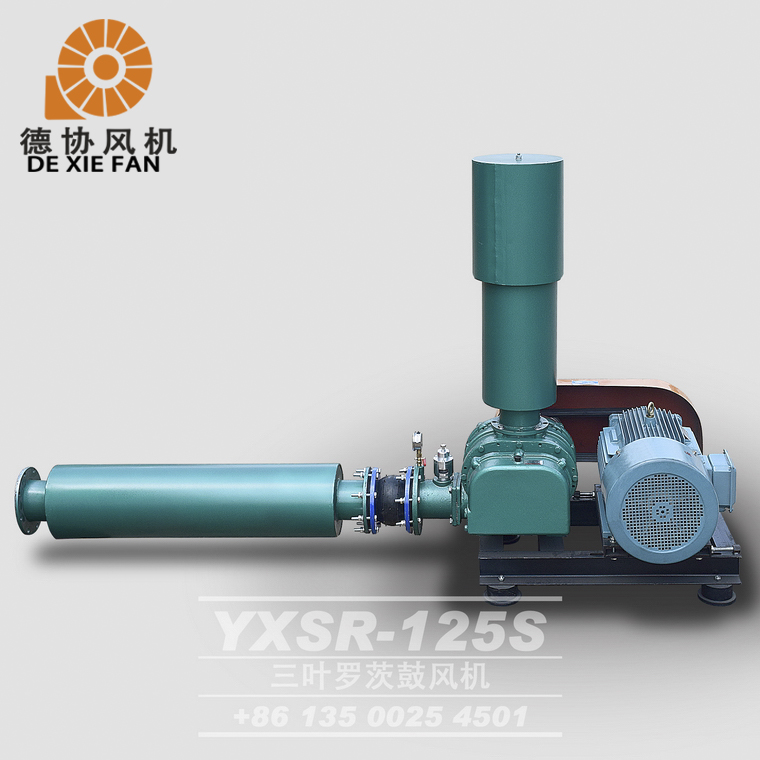 YXSR-125羅茨風(fēng)機(jī)