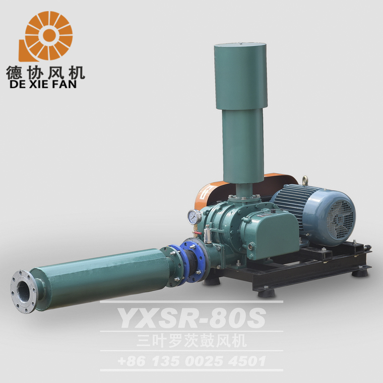 YXSR-80 羅茨風(fēng)機(jī)
